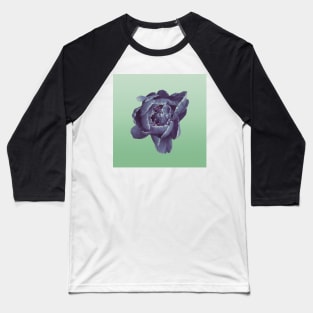 Peony - Blue and Mint Ombre Baseball T-Shirt